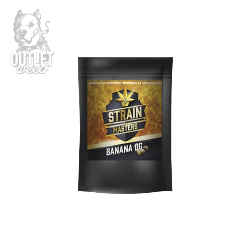 Semillas | Strain Masters | Banana OG | Auto | 1 semilla