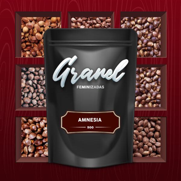 Semillas a Granel | Feminizadas | Amnesia | 500 Semillas