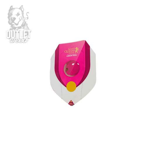 Semillas | Royal Queen | Bubblegum XL | Fem | 1 semilla