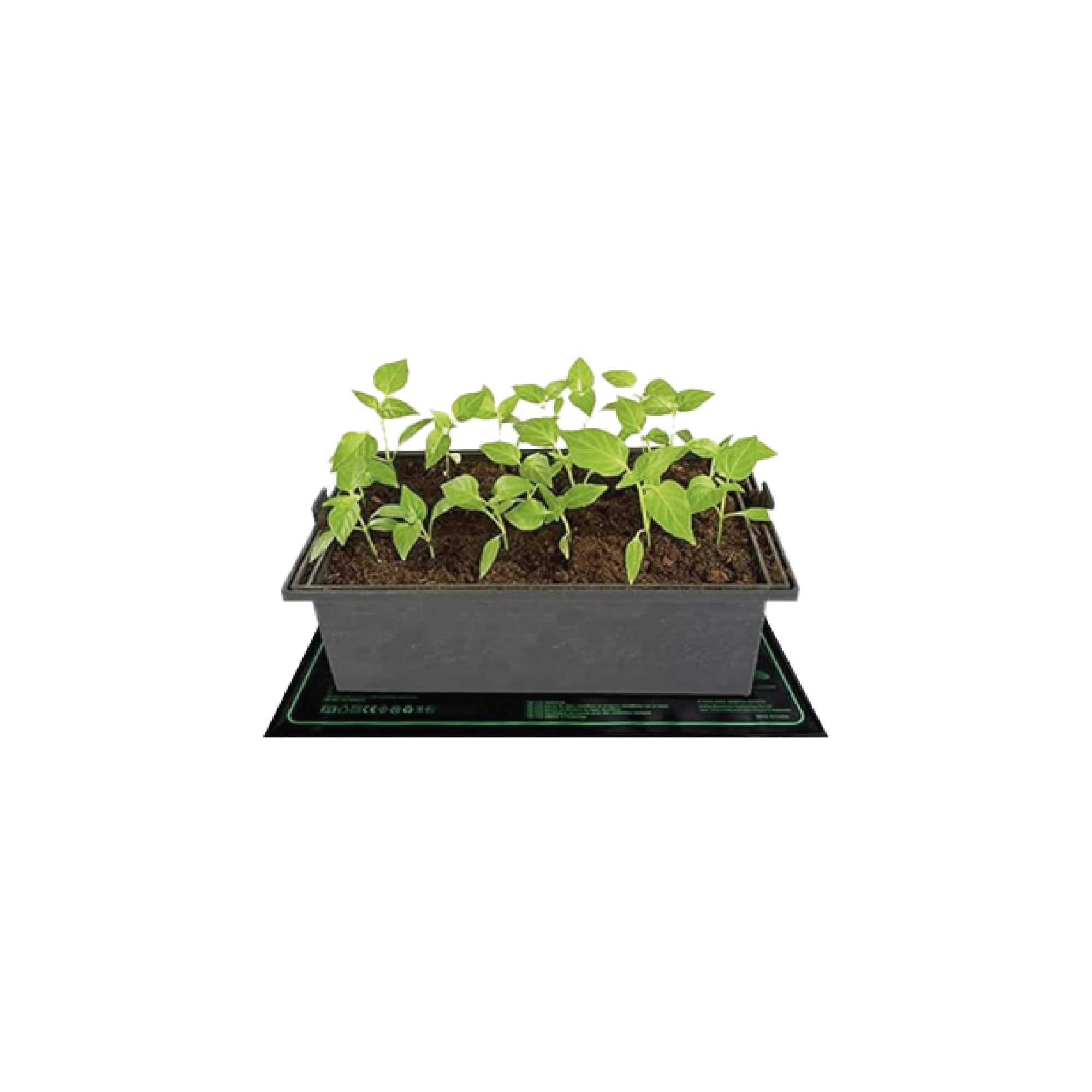 manta-25x5324823-1.jpg Manta Calefactora | 122 x 53 cms. | Impermeable | Helios Corporate - Imagen 1