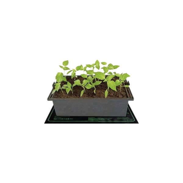 Manta Calefactora | 50 x 50 cms. | Impermeable | Helios Corporate