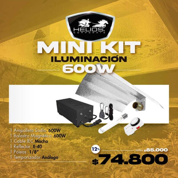 Mini Kit | Iluminación Pro | Magnético | 600W (sólo web)