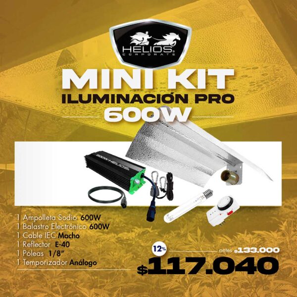 Mini Kit | Iluminación Pro | Electrónico | 600W (sólo web)