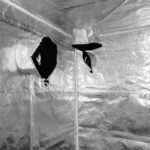 Carpa | 240 x 120 x 200 cms. | Negra | 600D | Helios Corporate - Imagen 7