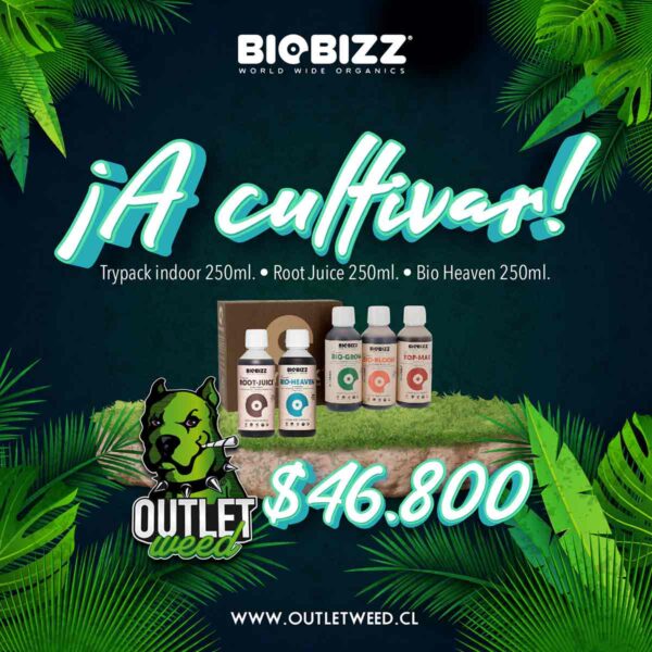 Promociones Web a Cultivar! | 250ml | Bio Bizz