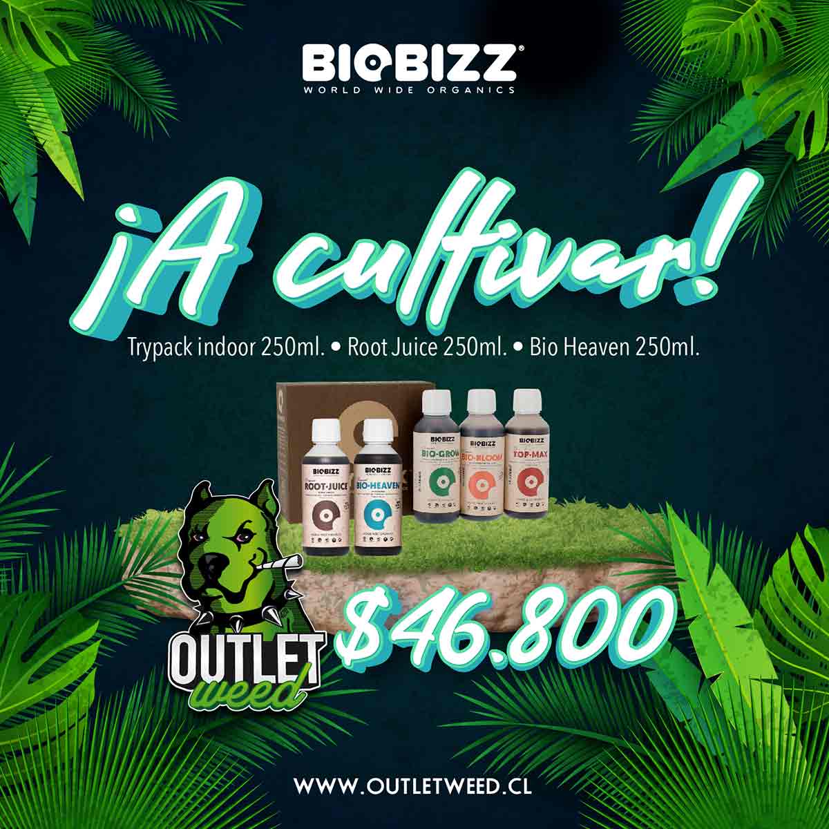 promo-bio-bizz10613.jpeg Promociones Web a Cultivar! | 250ml | Bio Bizz - Imagen 1