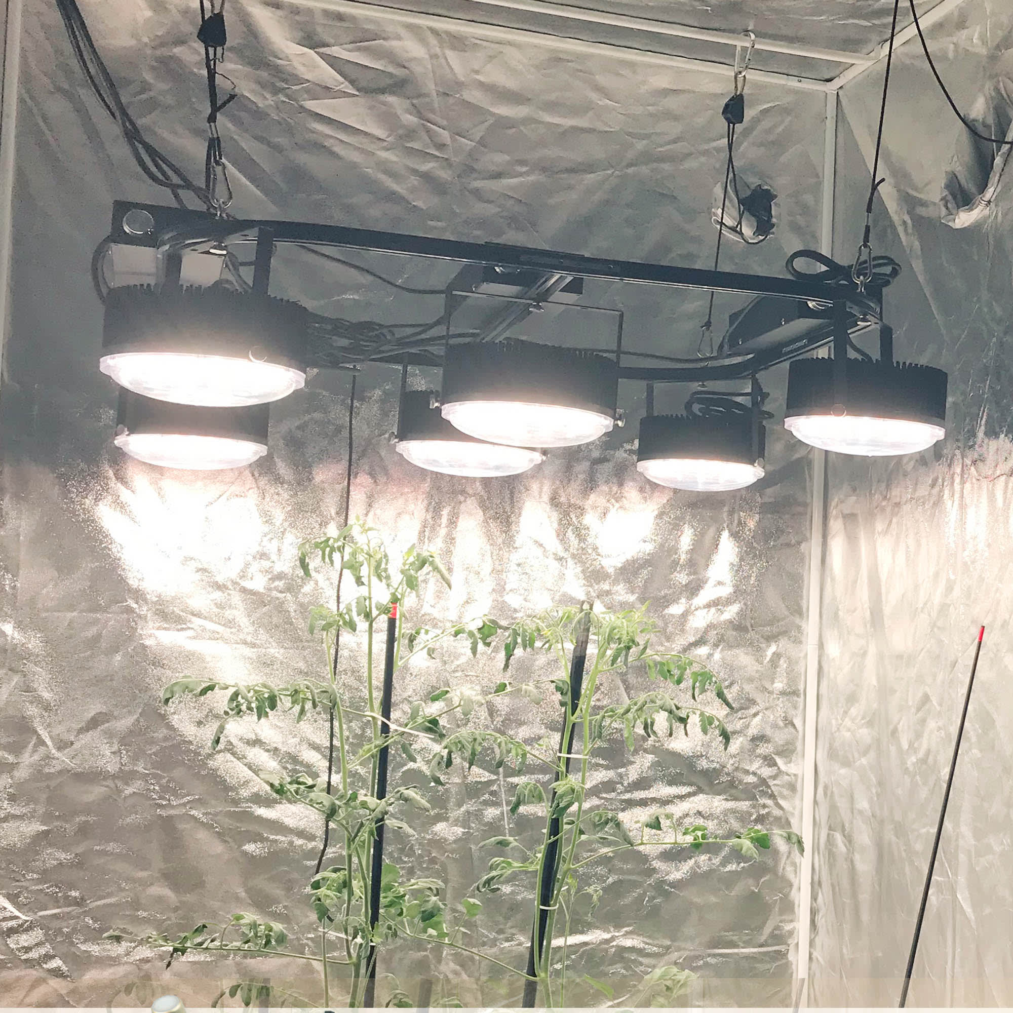 second-sun-smd-kit-600w-49407.jpg Led | Second Sun | Kit 600W | 6 lentes SMD Quantum Board | Helios Corporate - Imagen 1